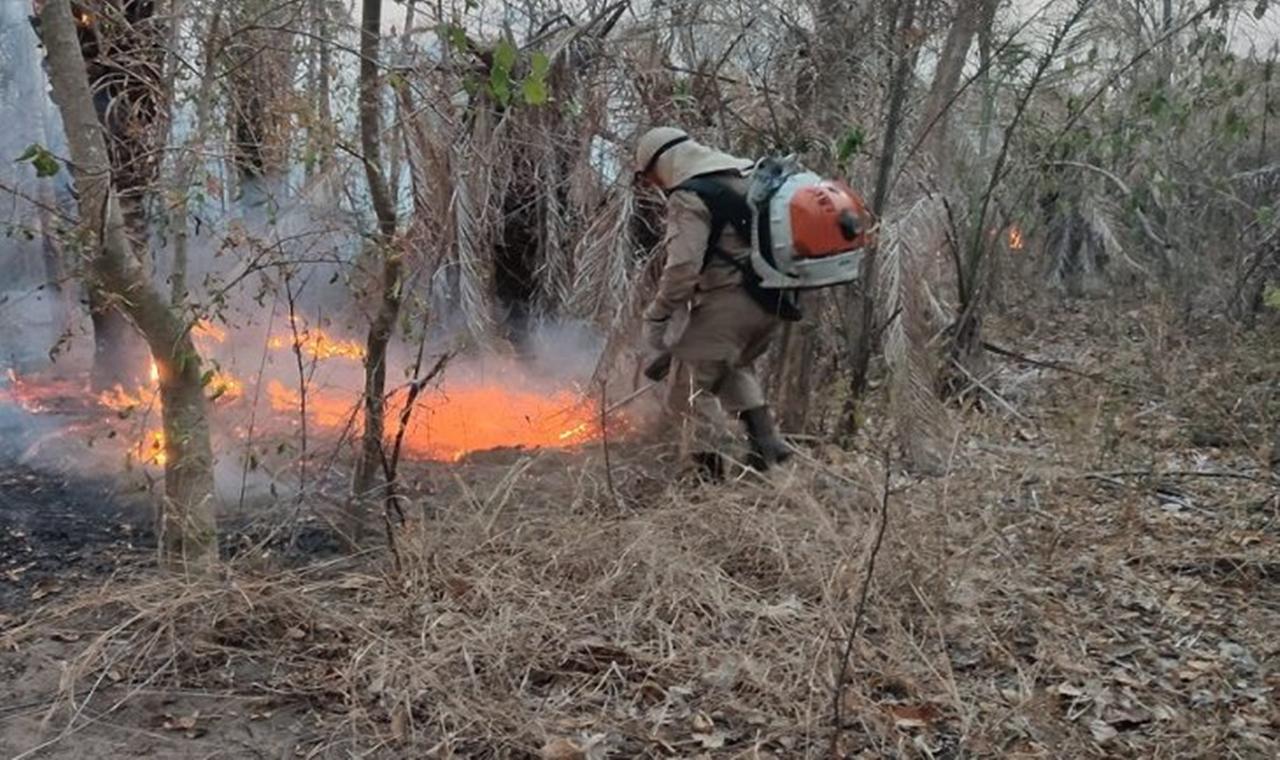 União declara estado de emergência ambiental em Mato Grosso do Sul