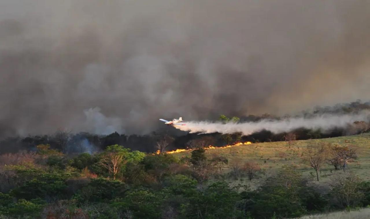 Mato Grosso do Sul tem decreto de Estado de Emergência Ambiental até dezembro