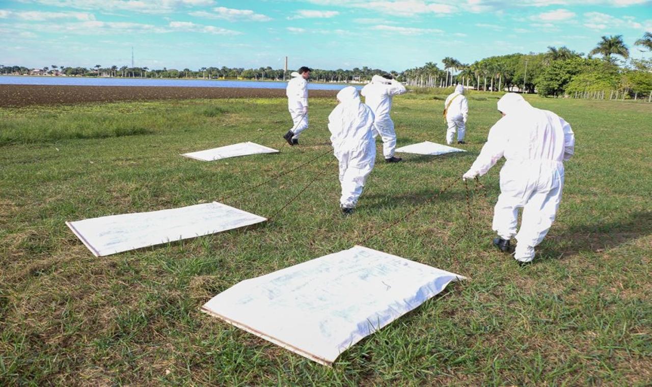 Zoonoses, Entomologia e Meio Ambiente realizam monitoramento na Lagoa Maior para identificar carrapato-estrela