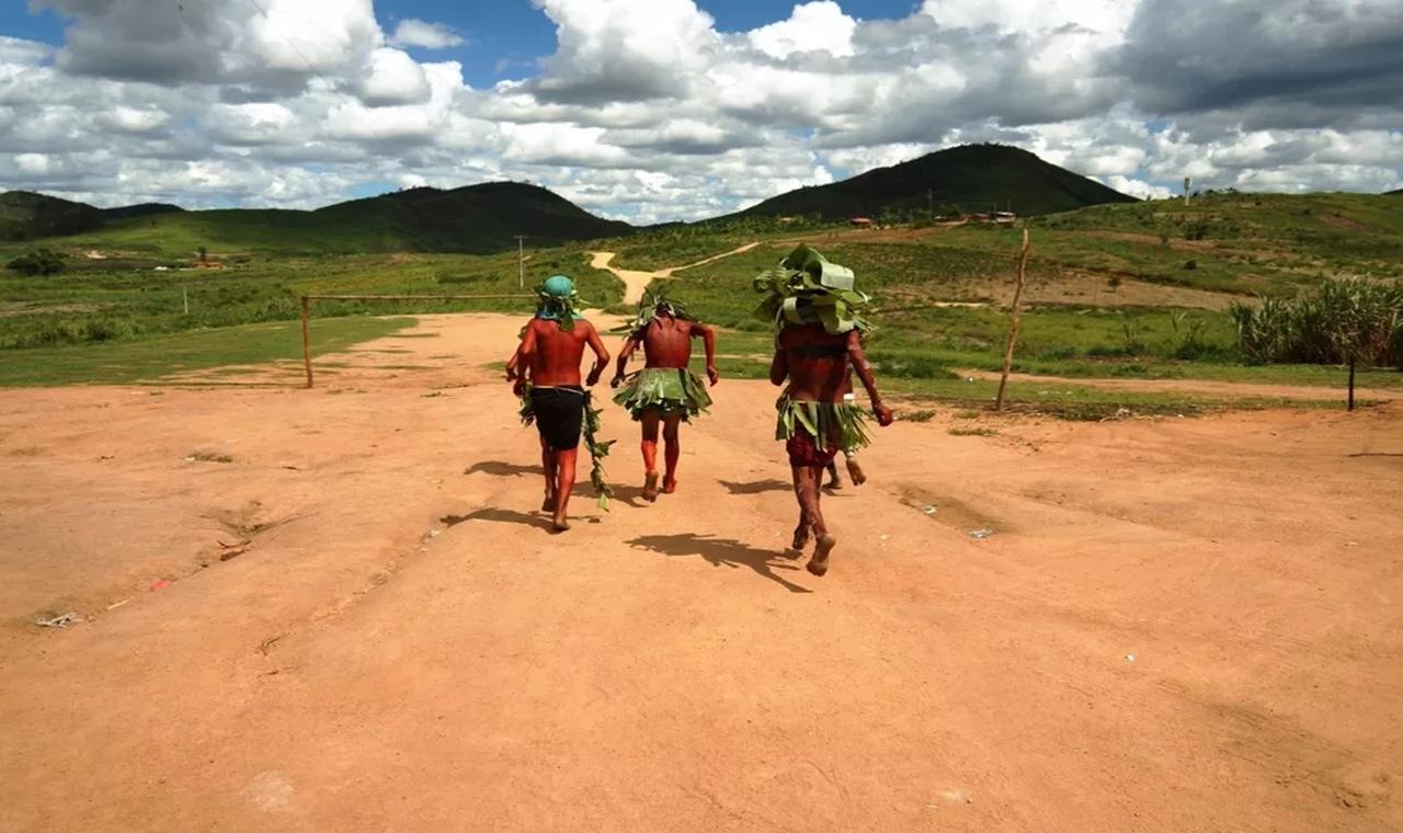 O que se sabe sobre as 3 mortes por raiva humana em um mês em Minas Gerais