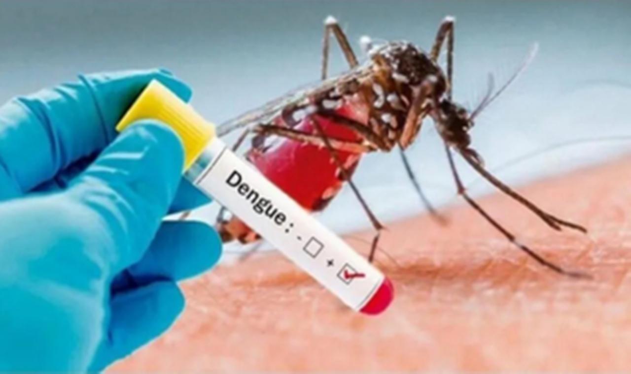 Mortes e casos prováveis por dengue no 1º semestre deste ano superam o registrado em todo 2021 em MS