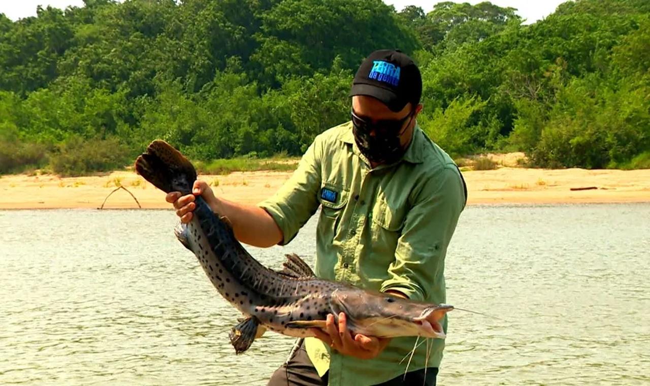 Ministério do Meio Ambiente adia proibição de pesca de pintado em MS