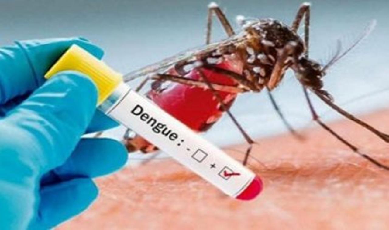 Três Lagoas notifica 10 novos casos de dengue no boletim divulgado nessa semana