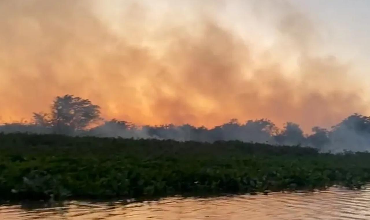 Incêndio põe em risco mais de 40 famílias de comunidade indígena no Pantanal