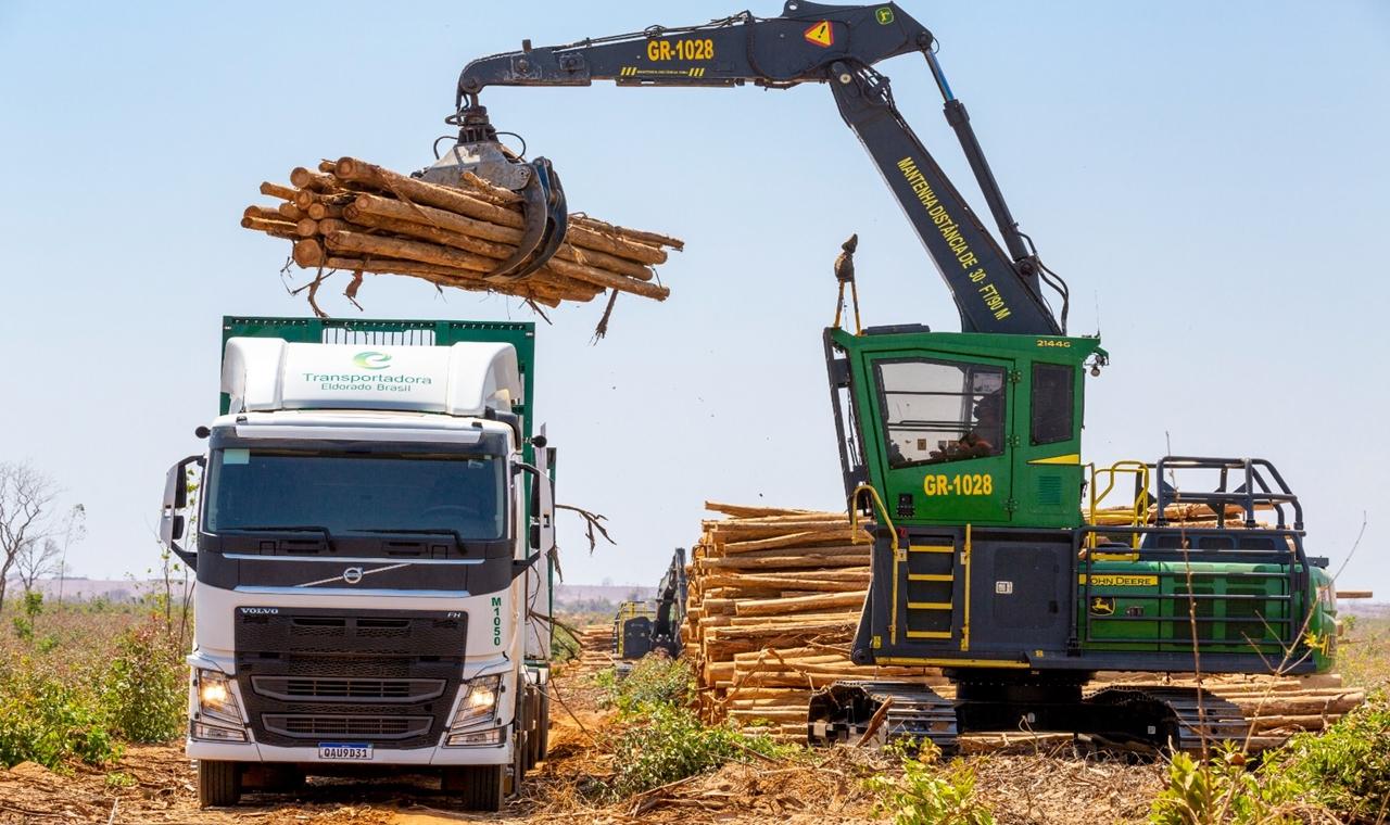 Eldorado Brasil é destaque na geração de emprego em Mato Grosso do Sul