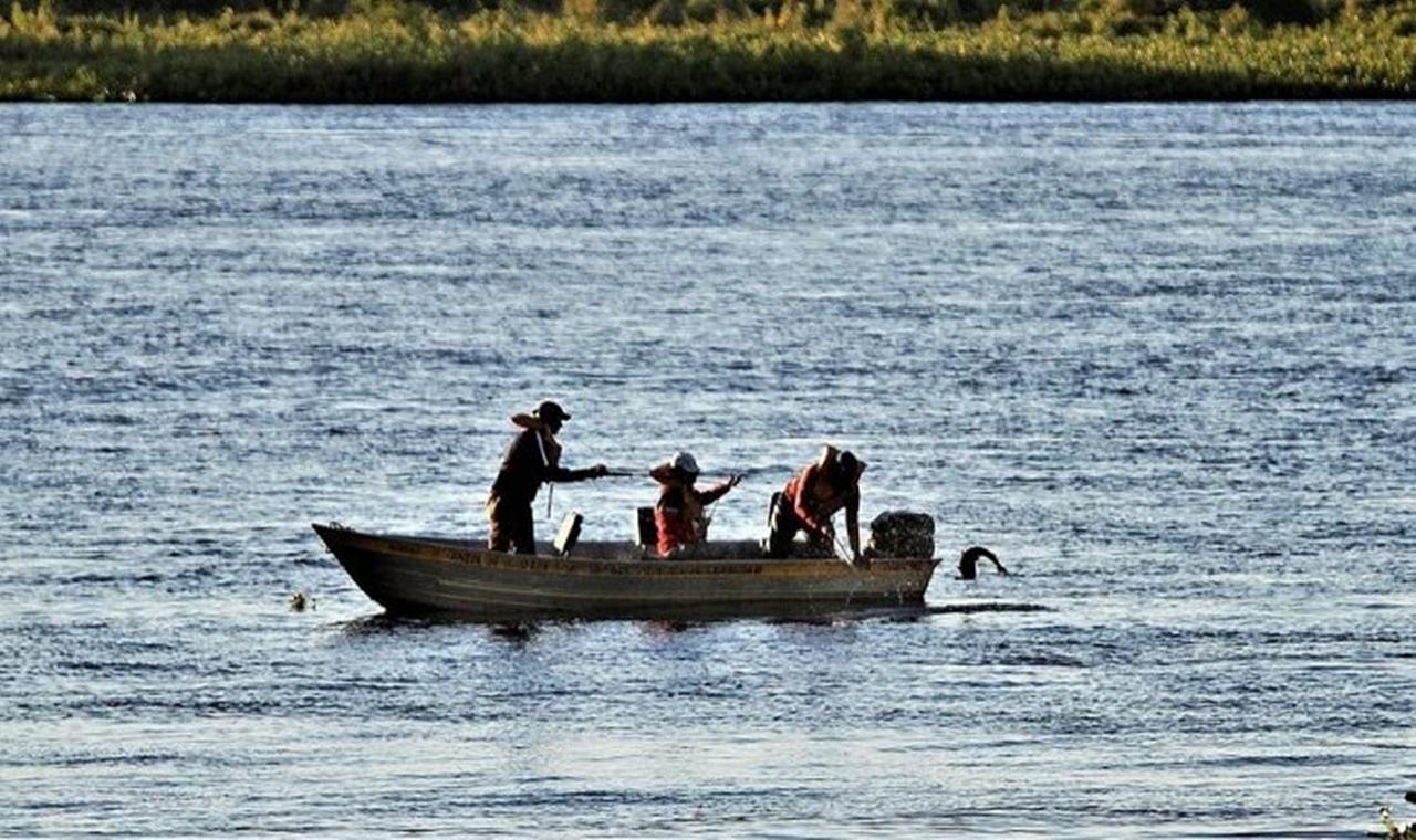Aberta temporada de pesca, Imasul esclarece regras vigentes em MS e ensina como emitir a Carteira Digital