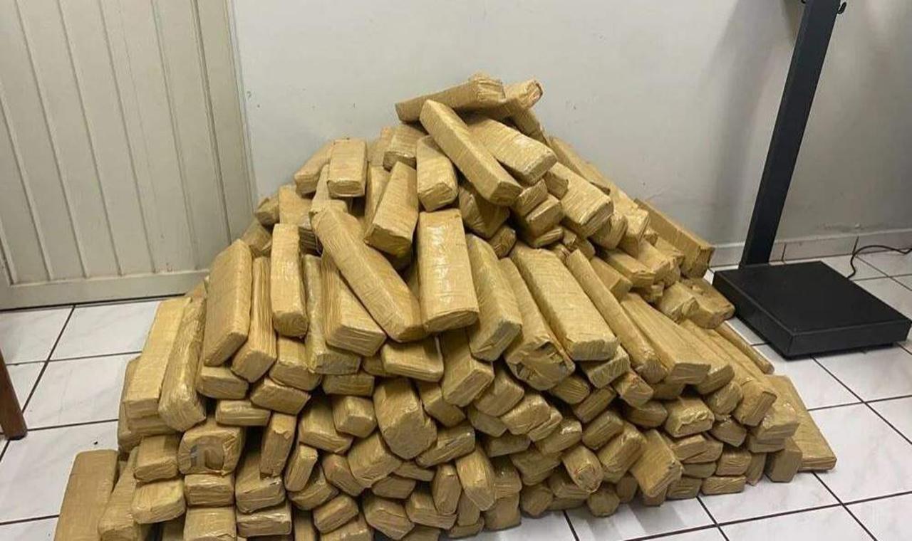 Polícia Militar Ambiental prende foragido da justiça transportando 323 kg de maconha