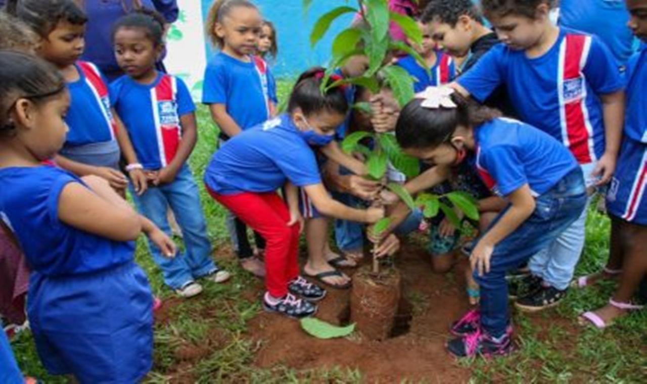 Projeto Escola Mais Verde chega à Escola Municipal “São Carlos”