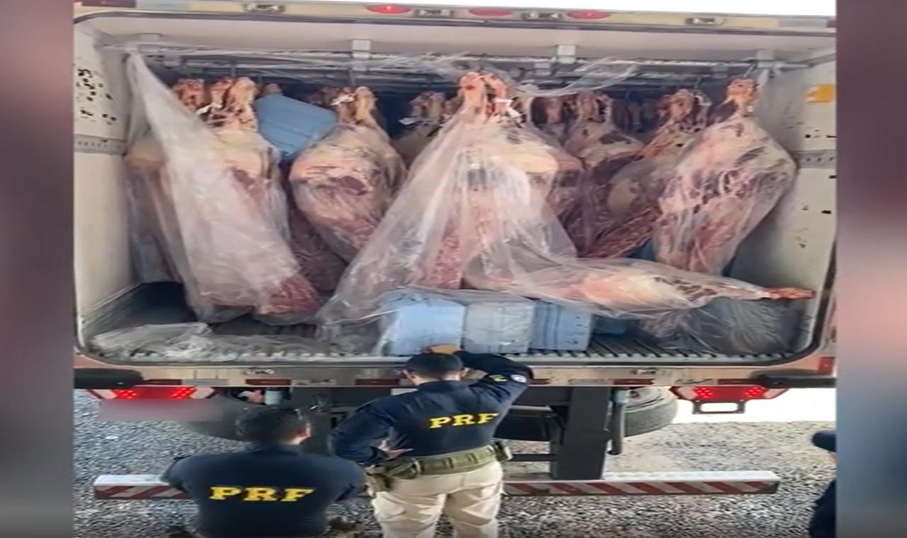 Carregamento de carne em MS escondia R$ 60 milhões de cocaína