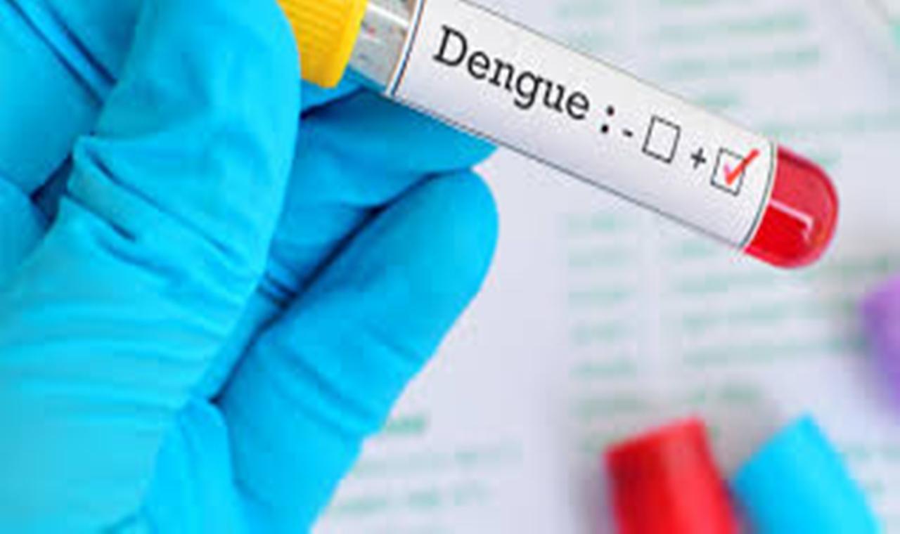 Com mais quatro mortes, MS chega a 12 óbitos por dengue em quatro meses