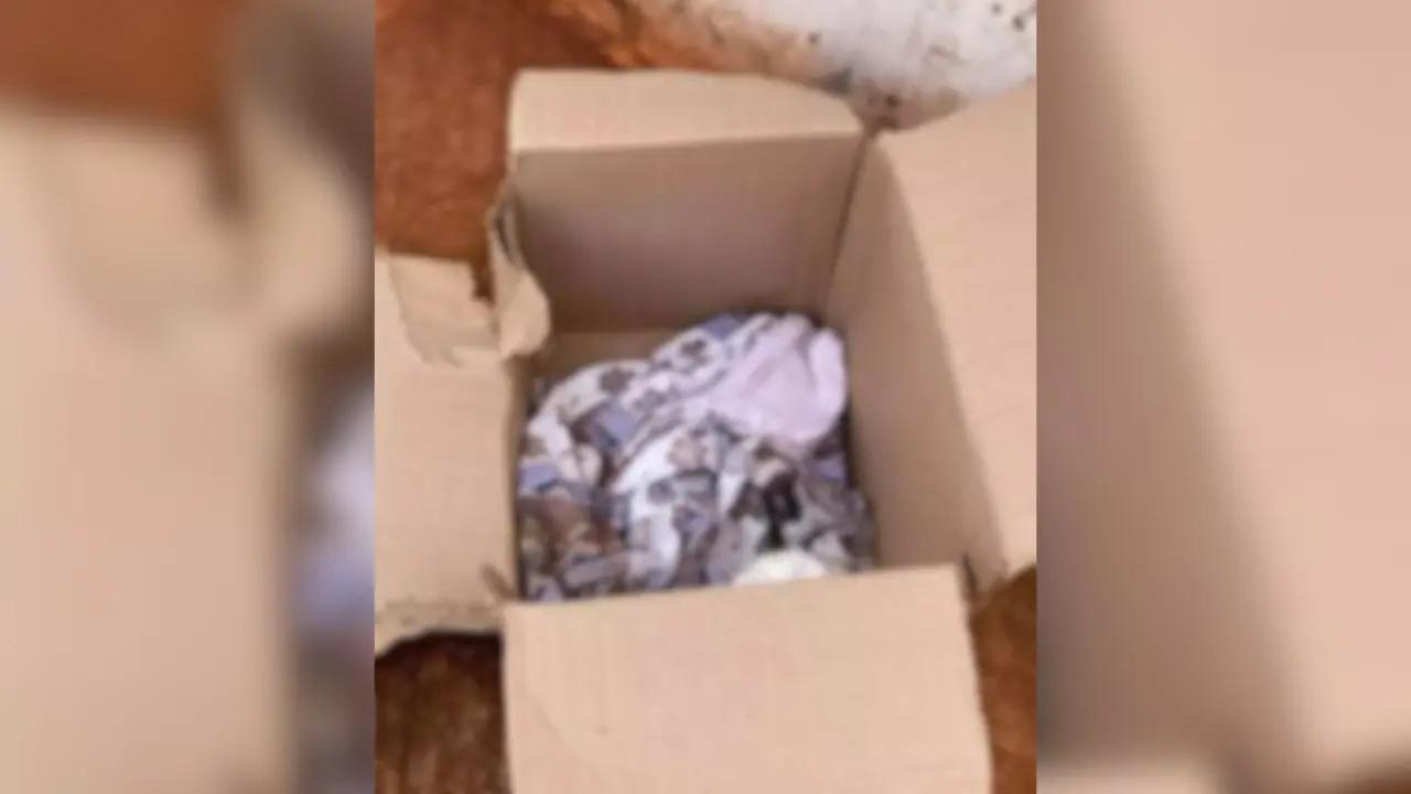 Polícia segue sem informações sobre família de bebê de 10 meses abandonado em caixa de papelão
