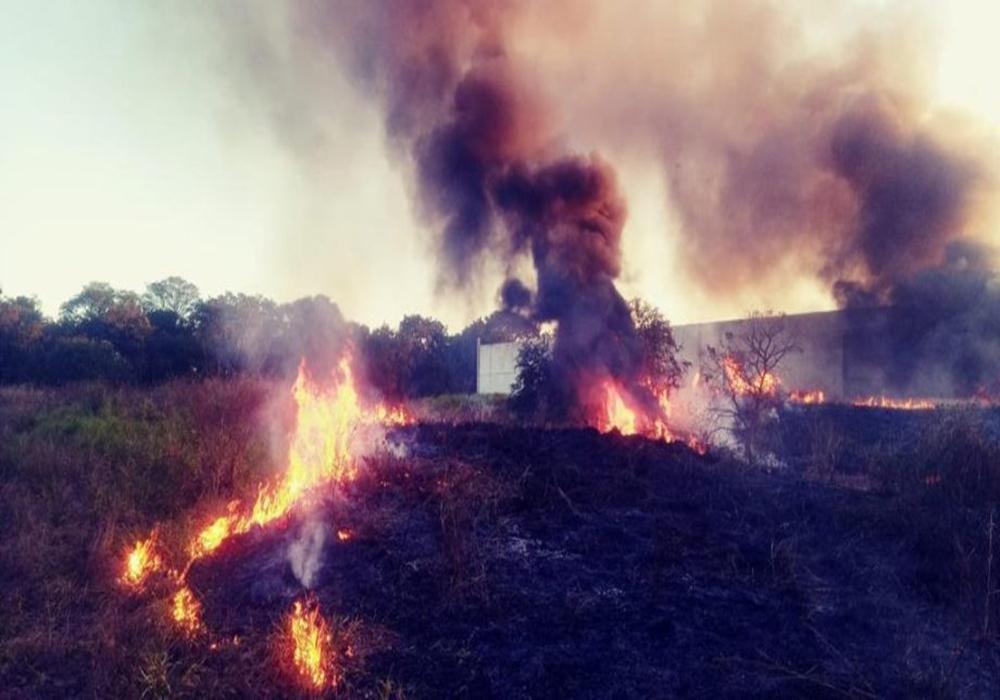 Defesa Civil e Bombeiros atendem mais um incêndio próximo à área de preservação em Três Lagoas
