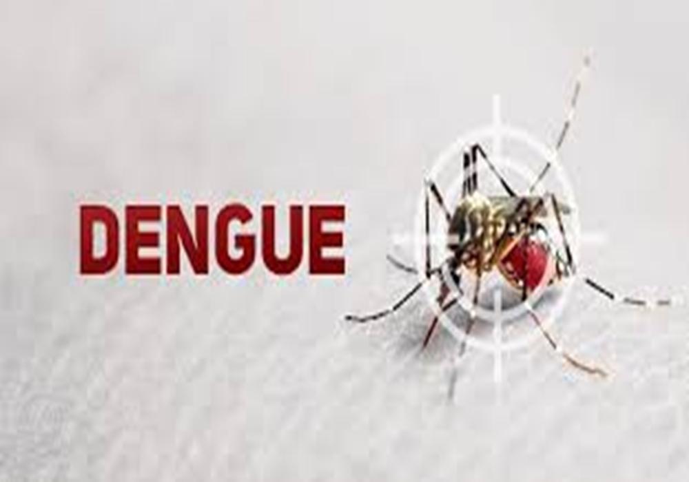 Estado registra 812 casos de dengue em uma semana