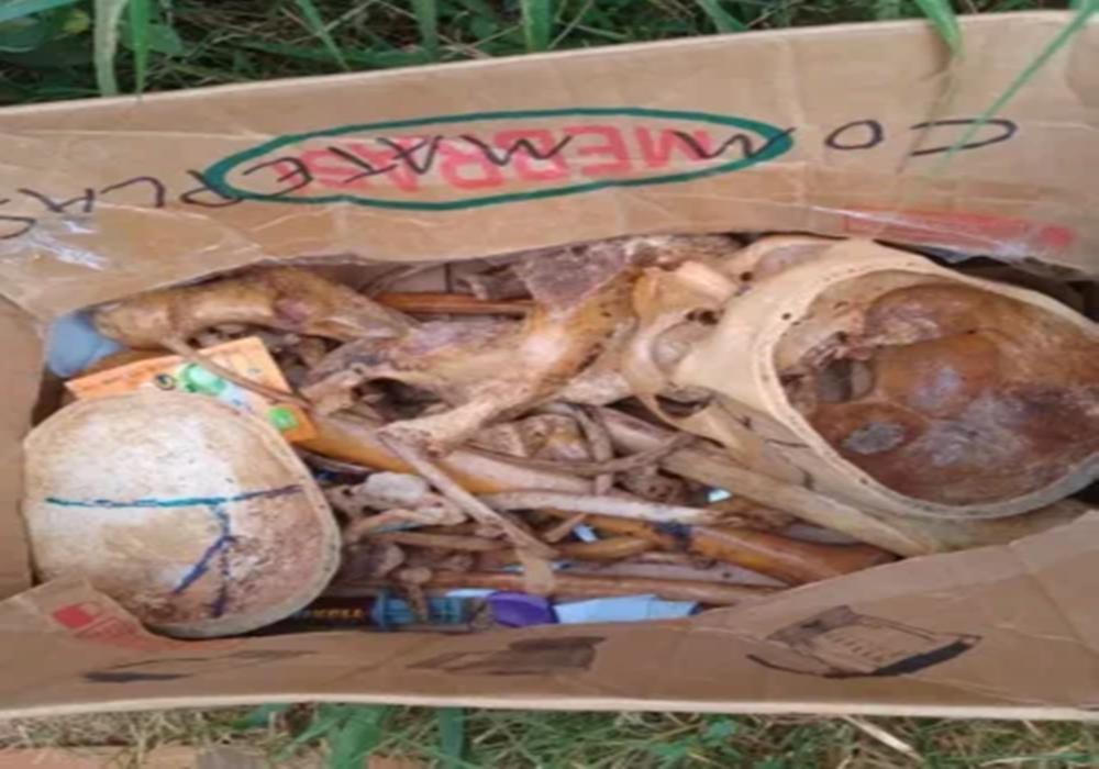 Homem tenta vender ossada humana na fronteira