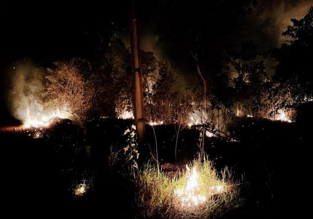 Incêndio criminoso destruiu quase 20 hectares de mata e ameaça animais nativos na reserva da CESP
