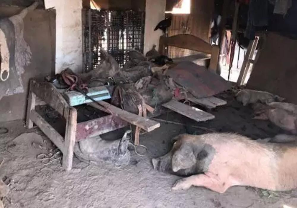 Pecuarista de MS deve indenizar em R$ 300 mil por trabalho escravo