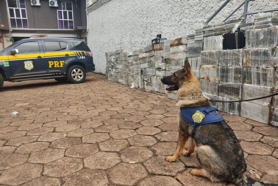 Em sete meses, apreensão de cocaína em rodovias federais de MS já superam todo o ano passado