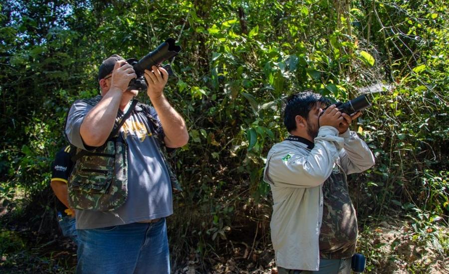 Três Lagoas recebe evento mundial de observação de aves neste sábado