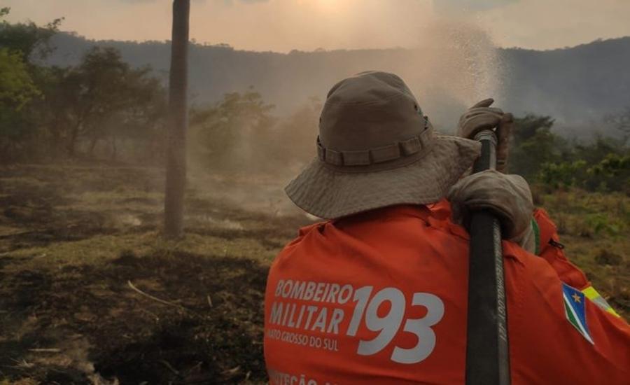 Incêndios são controlados no Pantanal e equipes continuam trabalho de rescaldo e monitoramento da região, Afirma governo do Estado