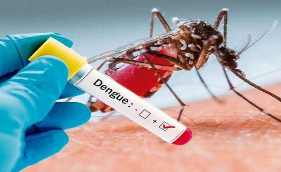 Brasil bate recorde de mortes por dengue em 2023