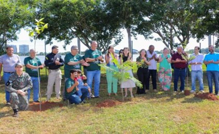 Conheça o projeto que plantará 1.000 árvores em Três Lagoas no ano de 2024