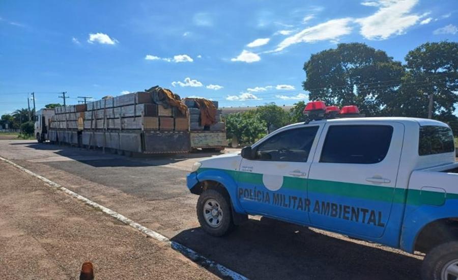 Operação Boas Festas da PMA capturou 89 animais e abordou mais de 420 pessoas em MS