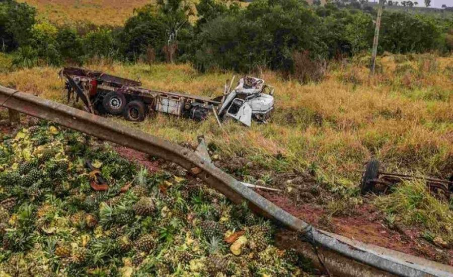 Caminhoneiro morre ao tentar desviar de vacas na BR-262
