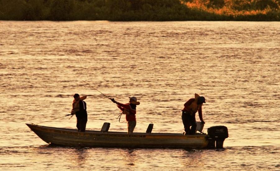 Última semana: pesca fica proibida a partir do dia 5 de novembro com o início do período de defeso