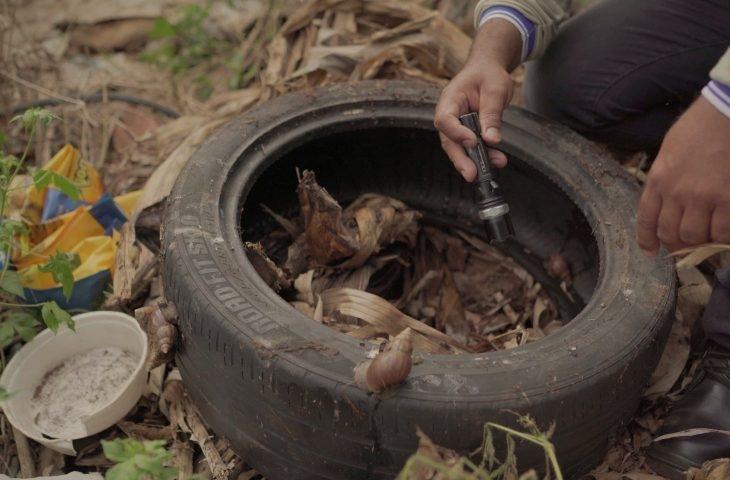 Mato Grosso do Sul registra 16.012 casos confirmados de dengue