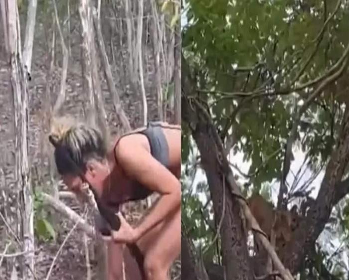 Mulher é procurada pelo Ibama após filmar tortura e morte de onça-parda