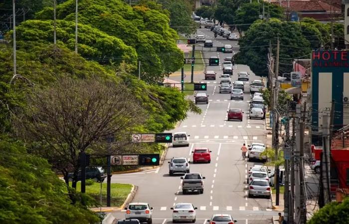 Campo Grande é a capital mais arborizada do Brasil, apontam dados do IBGE