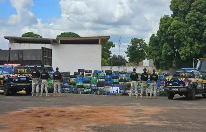 PRF apreende 4,5 toneladas de maconha e fuzil, em Três Lagoas