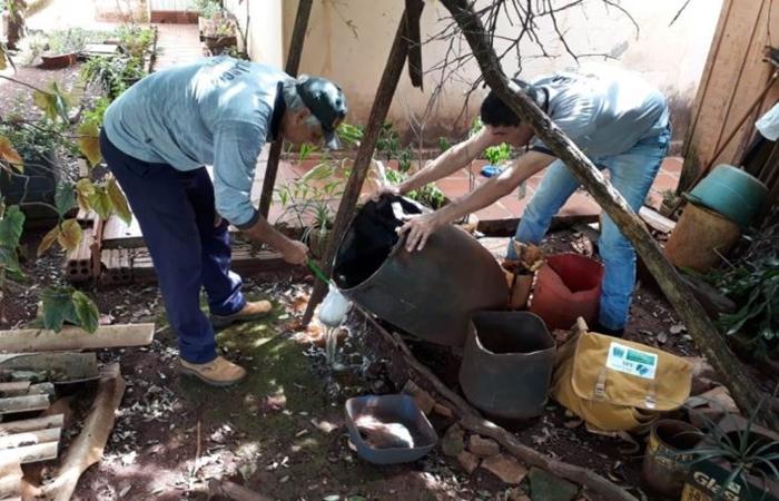 Boletim Epidemiológico: MS registra 4.517 casos confirmados de dengue