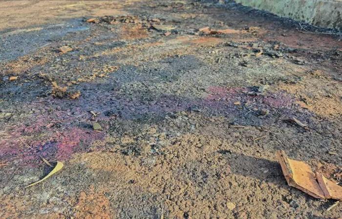 Mãe e bebê de um ano, são encontrados carbonizados em matagal em Campo Grande