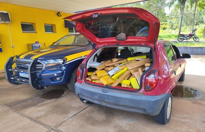 PRF apreende 242 Kg de maconha em Três Lagoas