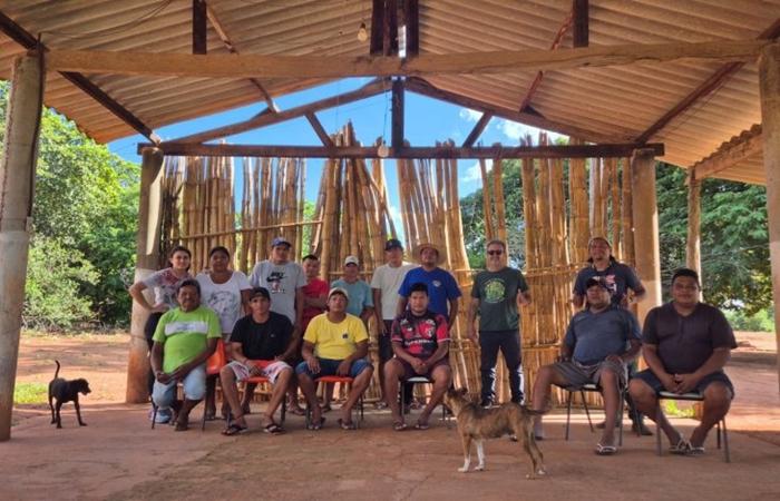 ‘Semenando o Futuro’: projeto refloresta terra Terena, valoriza cultura indígena e garante alimentos
