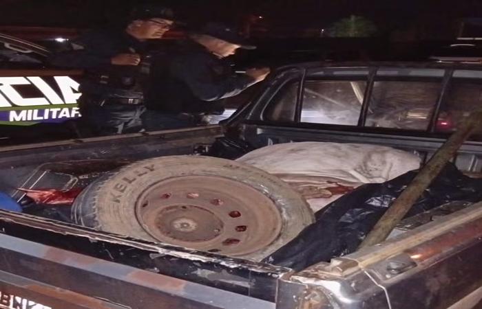 Ladrões morrem em confronto com a polícia durante fuga após roubarem gado de fazenda em Três Lagoas