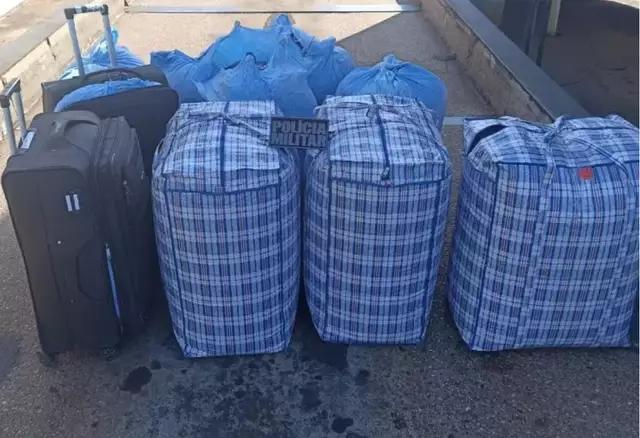 Sacos com 300 kg de folhas de coca são apreendidos em ônibus interestadual
