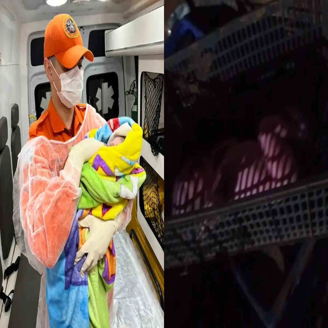 Bebê é encontrado em caixa de frutas nos fundos de casa em MS