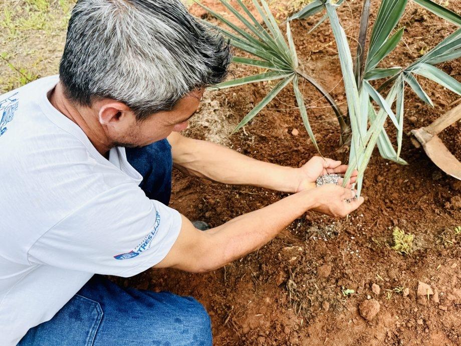 SEMEA intensifica arborização urbana com plantio de mais de 190 novas mudas em Três Lagoas