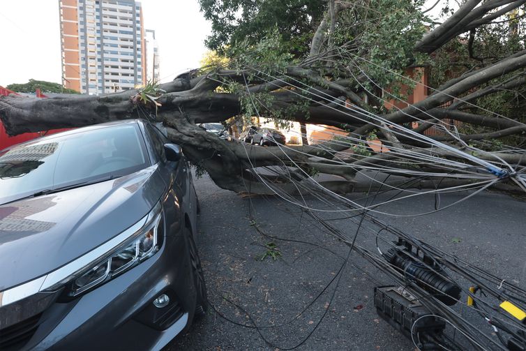 Cinco dias após ciclone, 30 mil clientes estão sem energia em SP