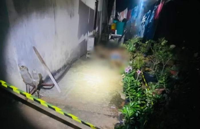 Mulher é morta a pauladas pelo marido após pedir socorro a vizinho em MS