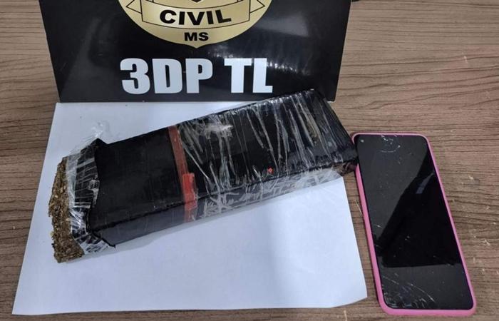 Polícia Civil realiza apreensão de droga em Três Lagoas