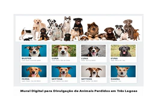 Projeto de Mário Grespan vira lei e Três Lagoas passa a ter Mural Digital para localizar animais perdidos