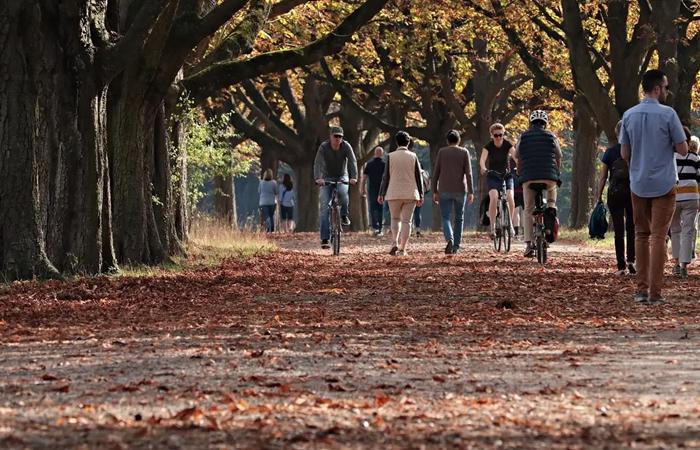 Outono começa no Sul e em Mato Grosso do Sul