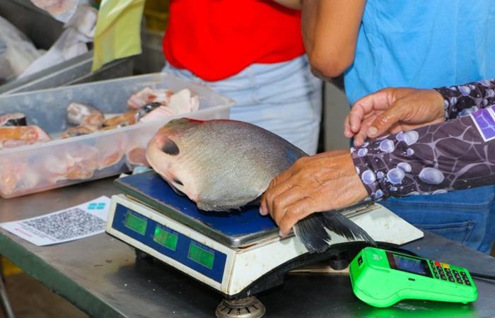 PROCON-TL divulga pesquisa de preços para a Semana Santa