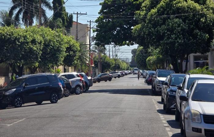 Rua Oscar Guimarães receberá recapeamento e árvores da via passarão por poda parcial para execução da obra
