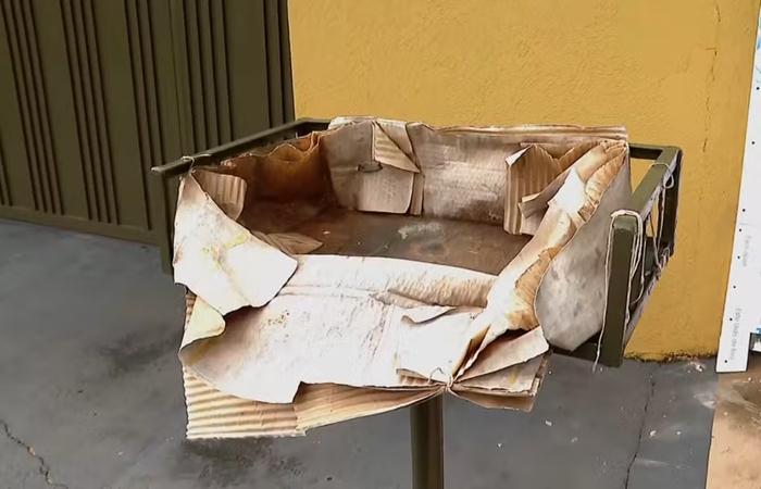 Bebê é encontrado morto dentro de lixeira por coletores de lixo em MS