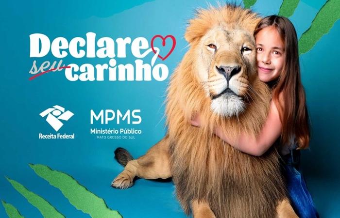 Campanha “Declare Seu Carinho” incentiva contribuintes a destinarem parte do Imposto de Renda para projetos sociais