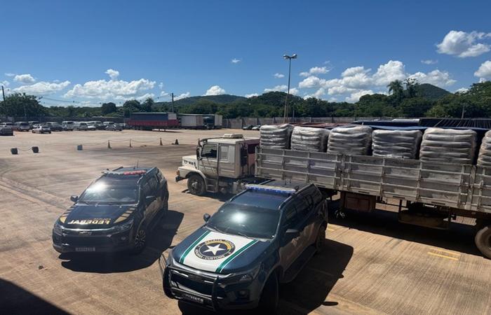 PF e RFB apreendem 27 toneladas de produto químico utilizado na produção de cocaína